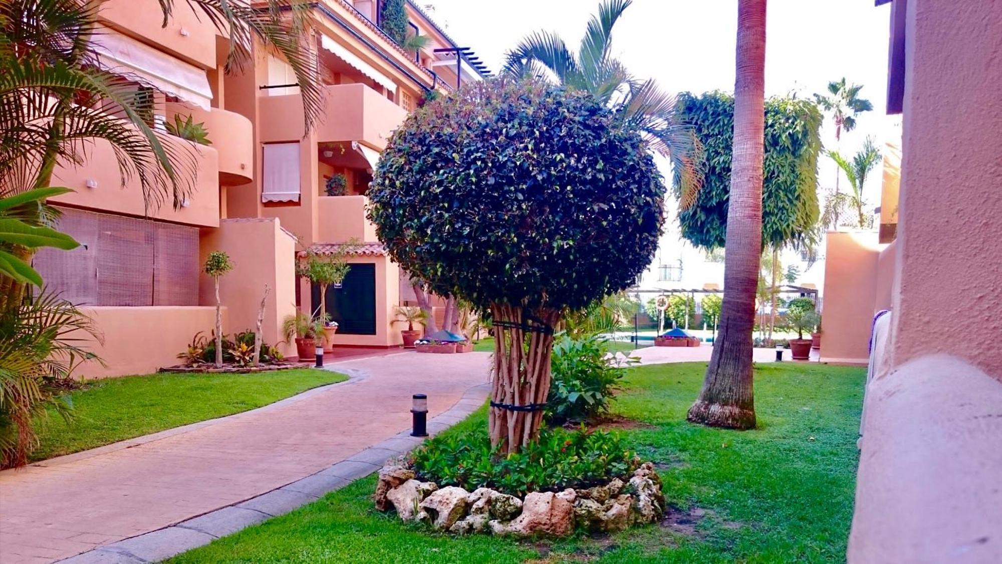 - Alicate Beachfront - 6 Marbella